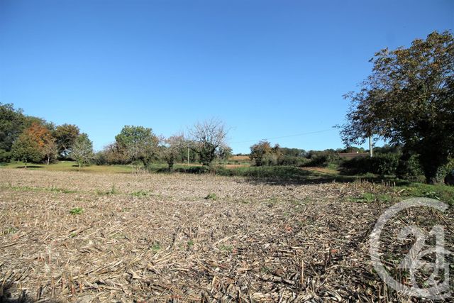 terrain à vendre - 1500.0 m2 - STE NATHALENE - 24 - AQUITAINE - Century 21 Patrimoine 24 terrain à vendre - 1500.0 m2 - STE NATHALENE - 24 - AQUITAINE - Century 21 Patrimoine 24