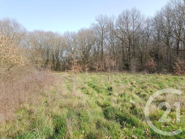 Afficher la photo en grand terrain à vendre - 2465.0 m2 - DOMME - 24 - AQUITAINE - Century 21 Patrimoine 24