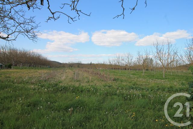 Afficher la photo en grand terrain à vendre - 3781.0 m2 - DOMME - 24 - AQUITAINE - Century 21 Patrimoine 24