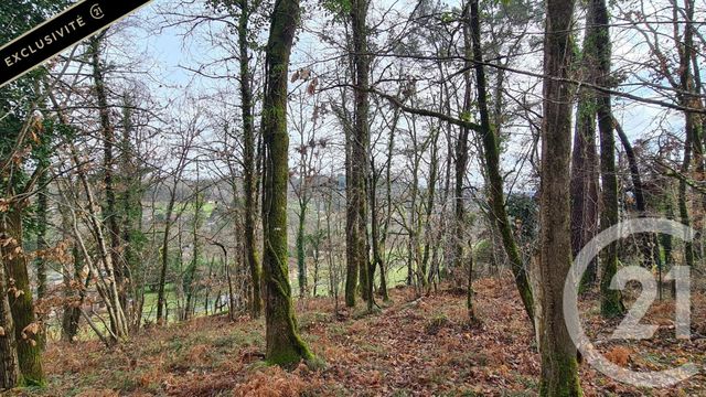 terrain à vendre - 10951.0 m2 - SARLAT LA CANEDA - 24 - AQUITAINE - Century 21 Patrimoine 24