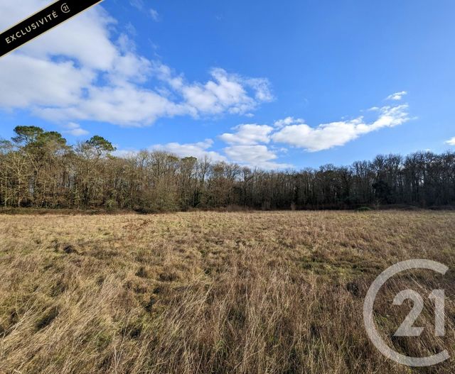 terrain à vendre - 12209.0 m2 - CARSAC AILLAC - 24 - AQUITAINE - Century 21 Patrimoine 24