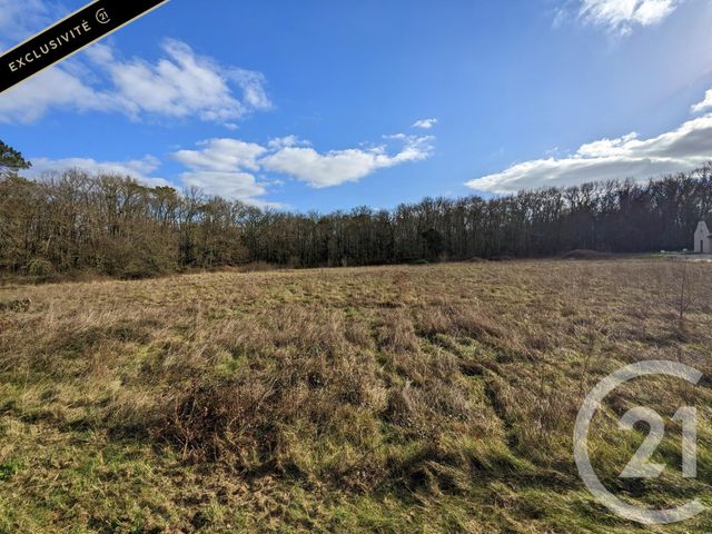 terrain à vendre - 12209.0 m2 - CARSAC AILLAC - 24 - AQUITAINE - Century 21 Patrimoine 24