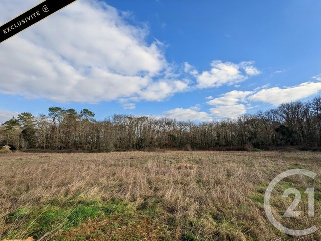 terrain à vendre - 12209.0 m2 - CARSAC AILLAC - 24 - AQUITAINE - Century 21 Patrimoine 24