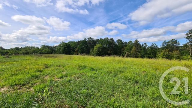 terrain - SARLAT LA CANEDA - 24
