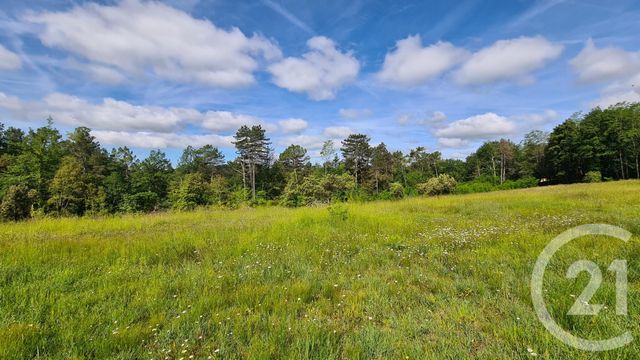 terrain à vendre - 3020.0 m2 - SARLAT LA CANEDA - 24 - AQUITAINE - Century 21 Patrimoine 24