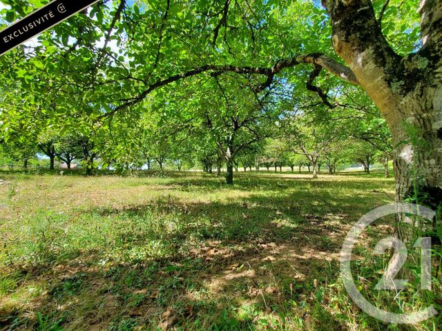 terrain - SARLAT LA CANEDA - 24