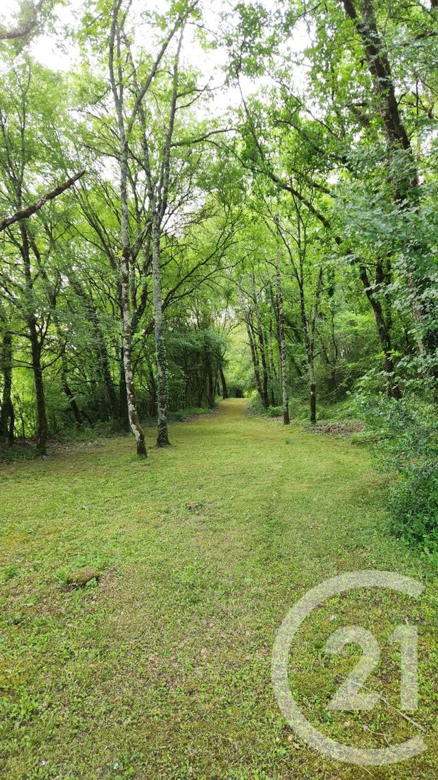 maison à vendre - 9 pièces - 253.2 m2 - CASTELNAUD LA CHAPELLE - 24 - AQUITAINE - Century 21 Patrimoine 24