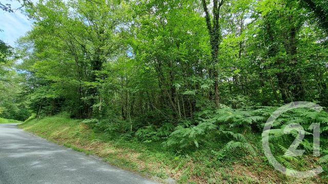 terrain à vendre - 2240.0 m2 - MILHAC - 46 - MIDI-PYRENEES - Century 21 Patrimoine 24