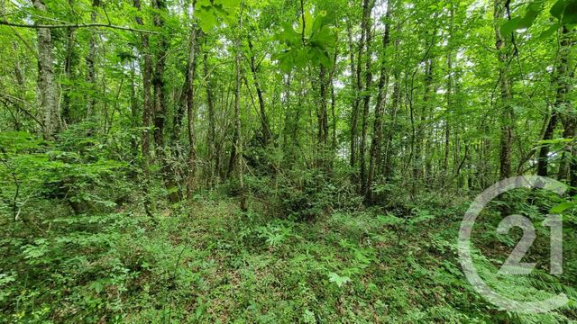 terrain à vendre - 2240.0 m2 - MILHAC - 46 - MIDI-PYRENEES - Century 21 Patrimoine 24