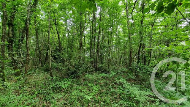 terrain à vendre - 2240.0 m2 - MILHAC - 46 - MIDI-PYRENEES - Century 21 Patrimoine 24