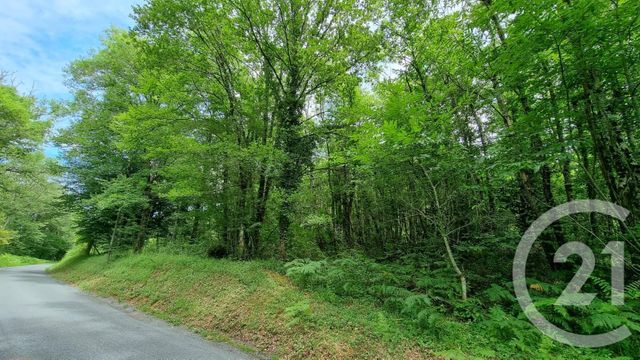 terrain à vendre - 2240.0 m2 - MILHAC - 46 - MIDI-PYRENEES - Century 21 Patrimoine 24