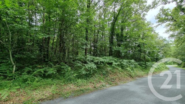 terrain à vendre - 2240.0 m2 - MILHAC - 46 - MIDI-PYRENEES - Century 21 Patrimoine 24