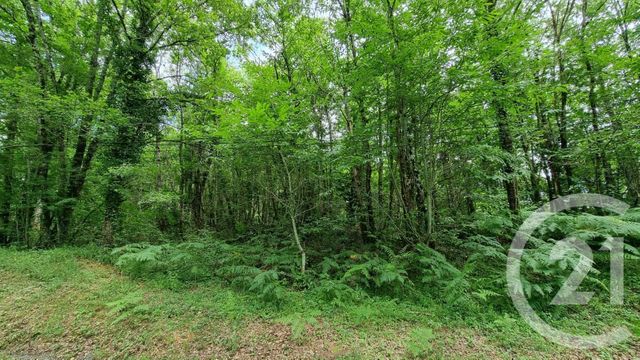 terrain - MILHAC - 46