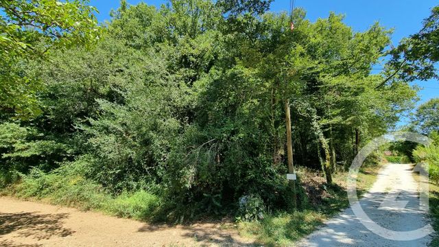 terrain à vendre - 2613.0 m2 - CARSAC AILLAC - 24 - AQUITAINE - Century 21 Patrimoine 24