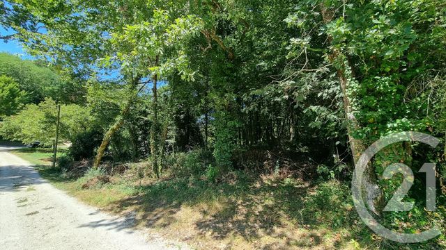 terrain à vendre - 2613.0 m2 - CARSAC AILLAC - 24 - AQUITAINE - Century 21 Patrimoine 24