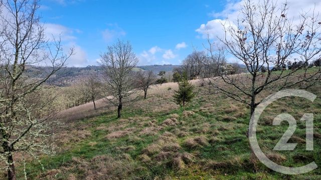 maison à vendre - 11 pièces - 249.3 m2 - ST CYBRANET - 24 - AQUITAINE - Century 21 Patrimoine 24