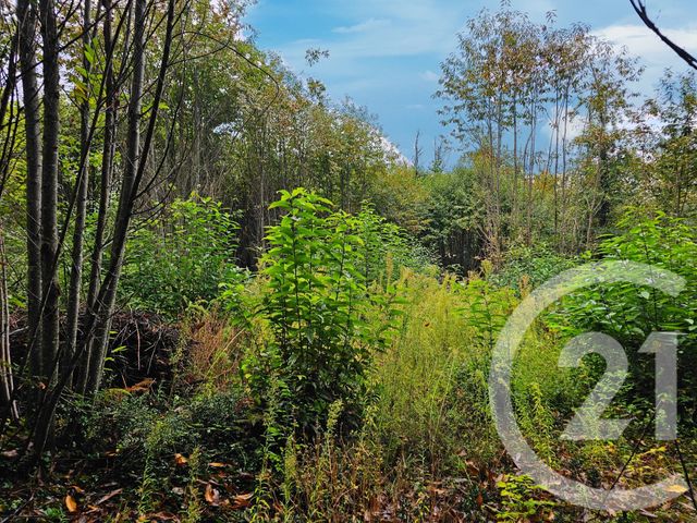 terrain à vendre - 3405.0 m2 - CARLUX - 24 - AQUITAINE - Century 21 Patrimoine 24