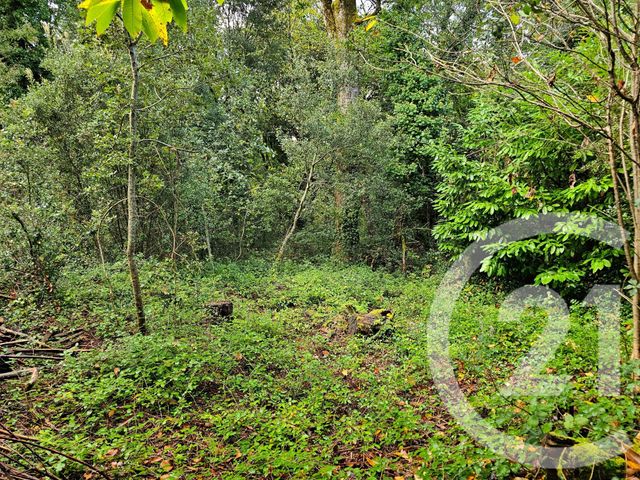 terrain à vendre - 3405.0 m2 - CARLUX - 24 - AQUITAINE - Century 21 Patrimoine 24