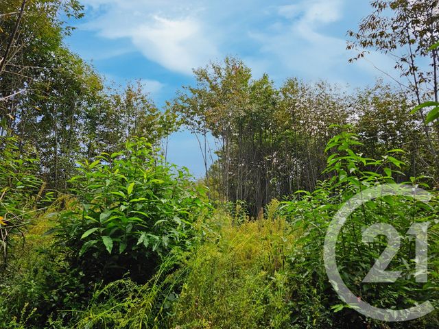 terrain à vendre - 3405.0 m2 - CARLUX - 24 - AQUITAINE - Century 21 Patrimoine 24