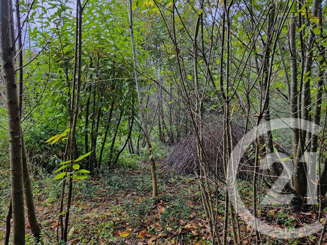 terrain à vendre - 3405.0 m2 - CARLUX - 24 - AQUITAINE - Century 21 Patrimoine 24