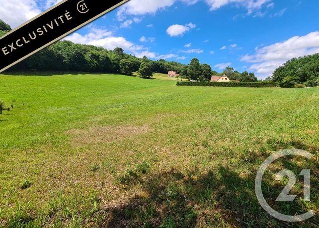 terrain - ST VINCENT LE PALUEL - 24