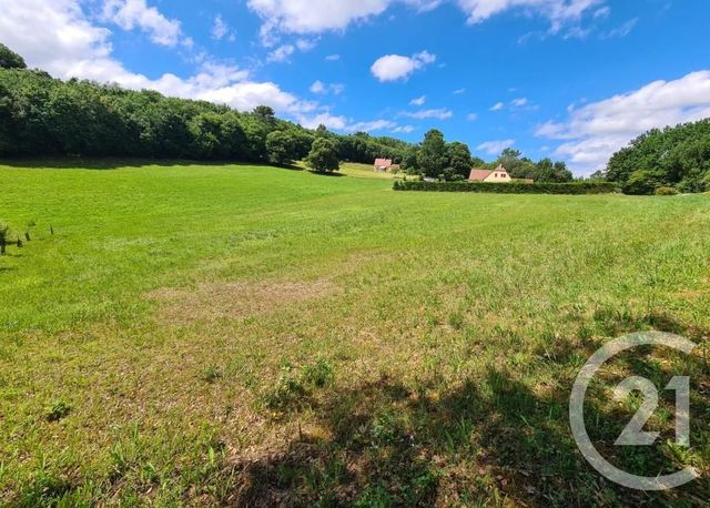 terrain à vendre - 2884.0 m2 - ST VINCENT LE PALUEL - 24 - AQUITAINE - Century 21 Patrimoine 24
