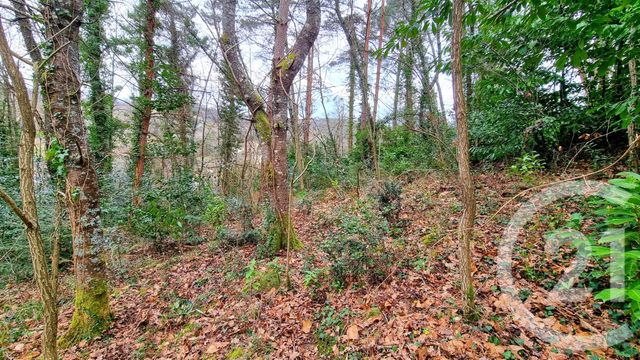 terrain à vendre - 3200.0 m2 - SARLAT LA CANEDA - 24 - AQUITAINE - Century 21 Patrimoine 24