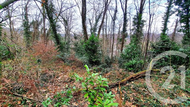 terrain à vendre - 3200.0 m2 - SARLAT LA CANEDA - 24 - AQUITAINE - Century 21 Patrimoine 24