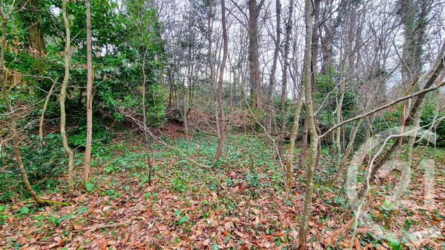 terrain à vendre - 3200.0 m2 - SARLAT LA CANEDA - 24 - AQUITAINE - Century 21 Patrimoine 24