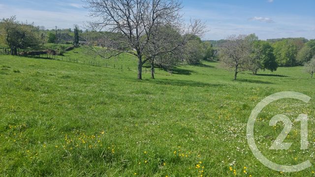 terrain - SARLAT LA CANEDA - 24