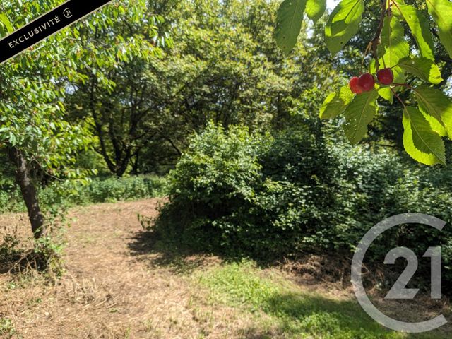 terrain à vendre - 4665.0 m2 - ST VINCENT DE COSSE - 24 - AQUITAINE - Century 21 Patrimoine 24