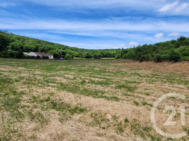 terrain à vendre - 9519.0 m2 - ST VINCENT LE PALUEL - 24 - AQUITAINE - Century 21 Patrimoine 24