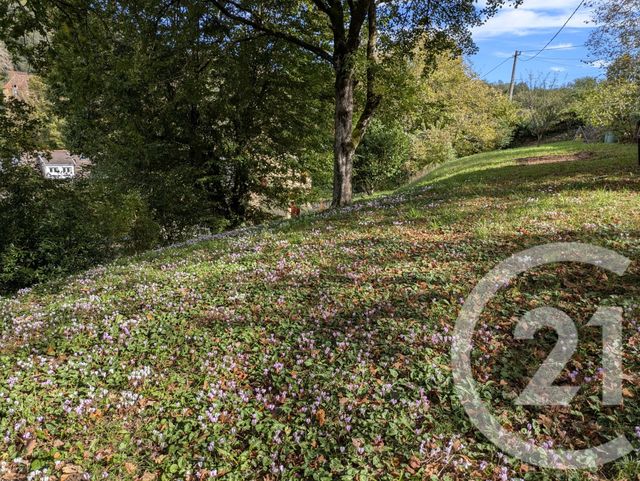 maison à vendre - 4 pièces - 82.0 m2 - GROLEJAC - 24 - AQUITAINE - Century 21 Patrimoine 24