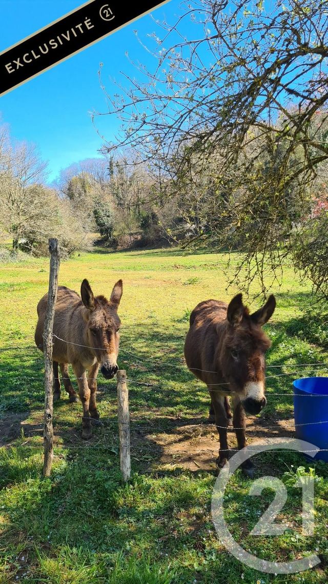 maison à vendre - 4 pièces - 106.0 m2 - CALVIAC EN PERIGORD - 24 - AQUITAINE - Century 21 Patrimoine 24