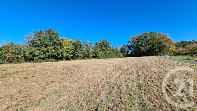 terrain à vendre - 5471.0 m2 - ST JULIEN DE LAMPON - 24 - AQUITAINE - Century 21 Patrimoine 24