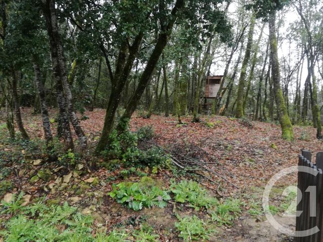 maison à louer - 4 pièces - 70.35 m2 - VEYRIGNAC - 24 - AQUITAINE - Century 21 Patrimoine 24