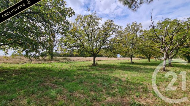 Terrain à vendre ST CYPRIEN