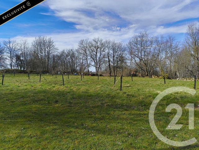 maison à vendre - 7 pièces - 219.0 m2 - SALVIAC - 46 - MIDI-PYRENEES - Century 21 Patrimoine 24