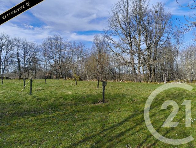 maison à vendre - 7 pièces - 219.0 m2 - SALVIAC - 46 - MIDI-PYRENEES - Century 21 Patrimoine 24