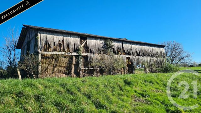 maison - COUX ET BIGAROQUE MOUZENS - 24