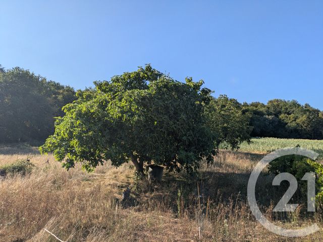 maison à vendre - 5 pièces - 110.0 m2 - CARSAC AILLAC - 24 - AQUITAINE - Century 21 Patrimoine 24